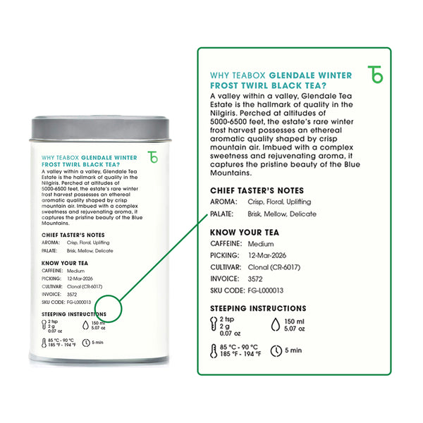 Nilgiri Glendale Winter Frost Twirl Black