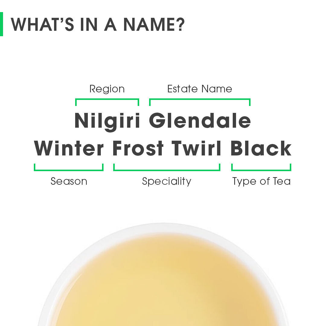 Nilgiri Glendale Winter Frost Twirl Black