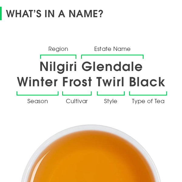 Nilgiri Glendale Winter Frost Twirl Black