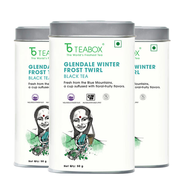 Nilgiri Glendale Winter Frost Twirl Black