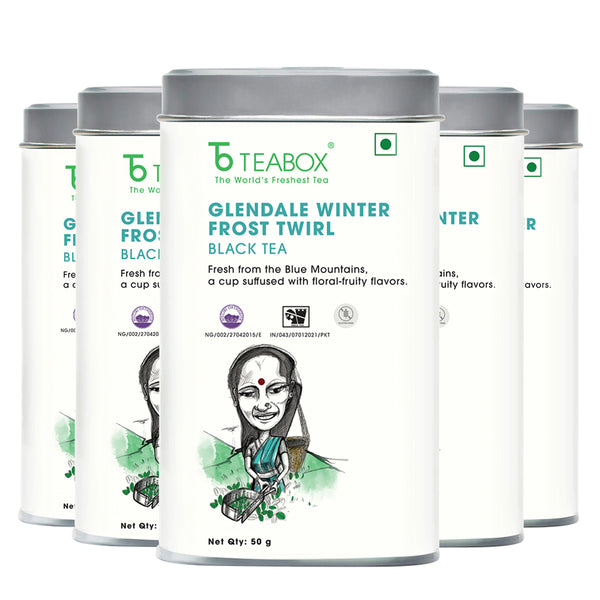 Nilgiri Glendale Winter Frost Twirl Black