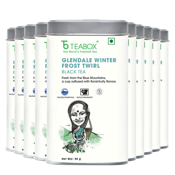 Nilgiri Glendale Winter Frost Twirl Black