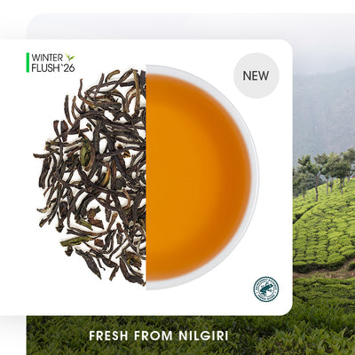 Nilgiri Havukal Winter Frost Black