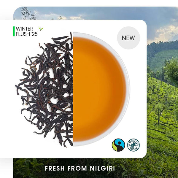 Nilgiri Korakundah Winter Frost Black