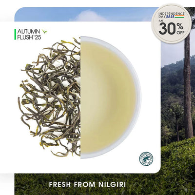 Nilgiri Glendale Autumn Twirl Green