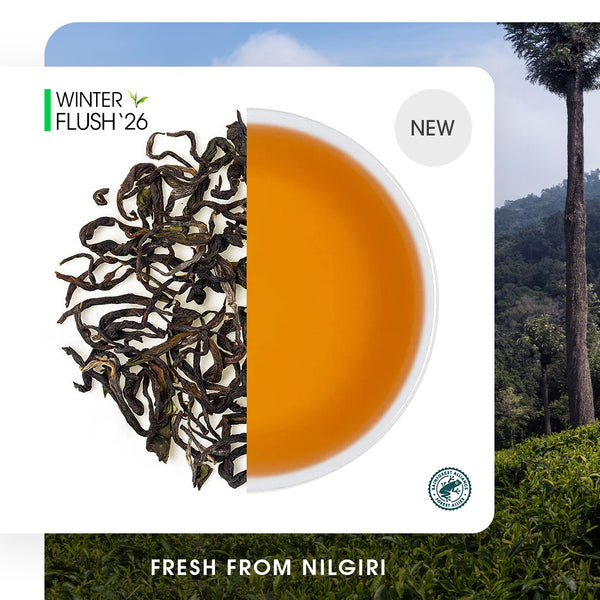 Nilgiri Glendale Winter Frost Twirl Black