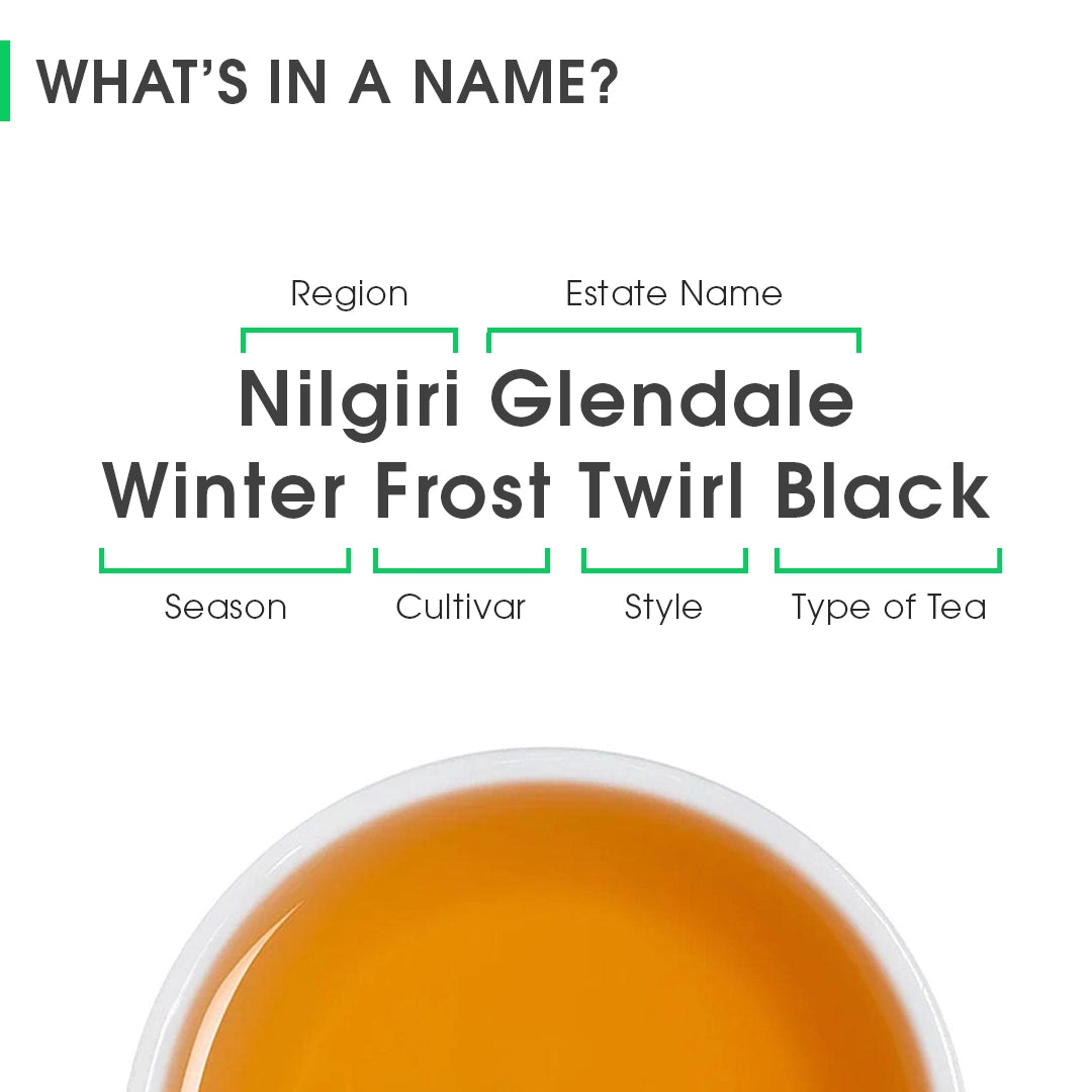 Nilgiri Glendale Winter Frost Twirl Black