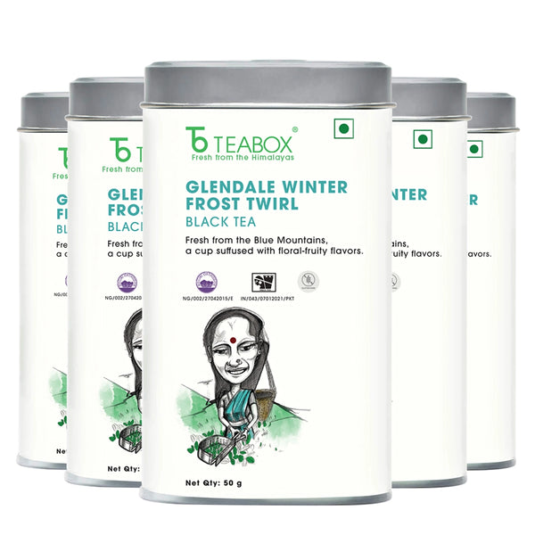 Nilgiri Glendale Winter Frost Twirl Black
