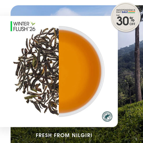 Nilgiri Havukal Winter Frost Black