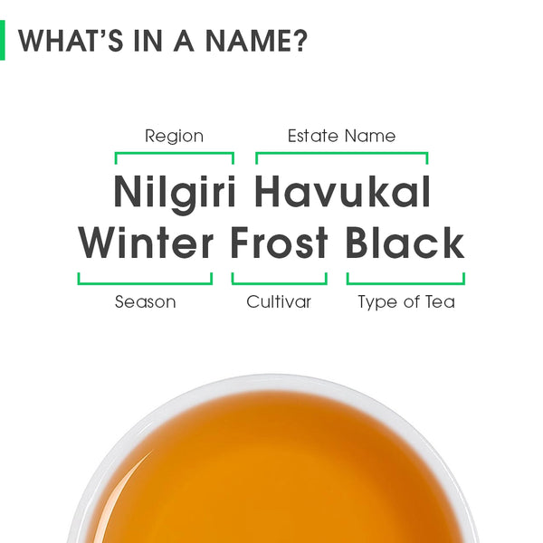Nilgiri Havukal Winter Frost Black