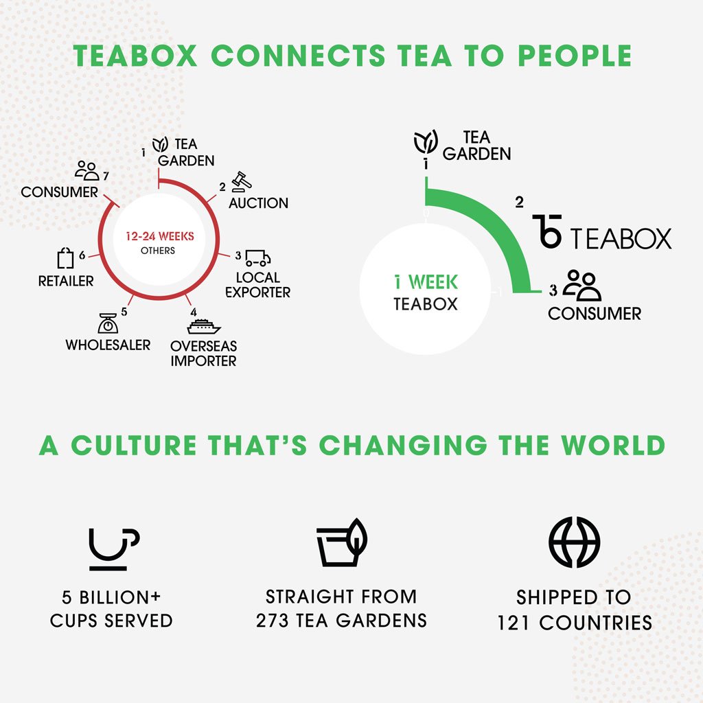 Teabox Green Tea Sampler Pack (100 Teabags)