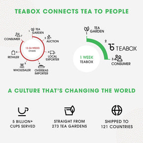 Teabox Green Tea Sampler Pack (100 Teabags)